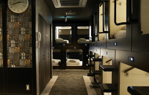 CuZoo CuPanda パンダ 大熊猫 キューズー キュービックルーム CuZoo